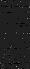 MTVZA-21.png